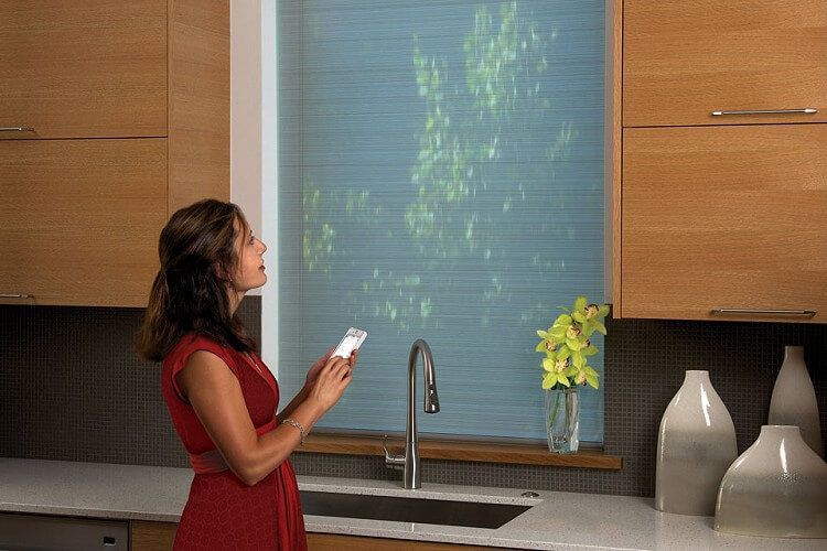 Automated Window Treatment