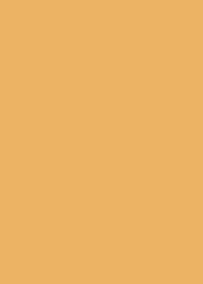 Solid tan-orange background with no visible objects or text