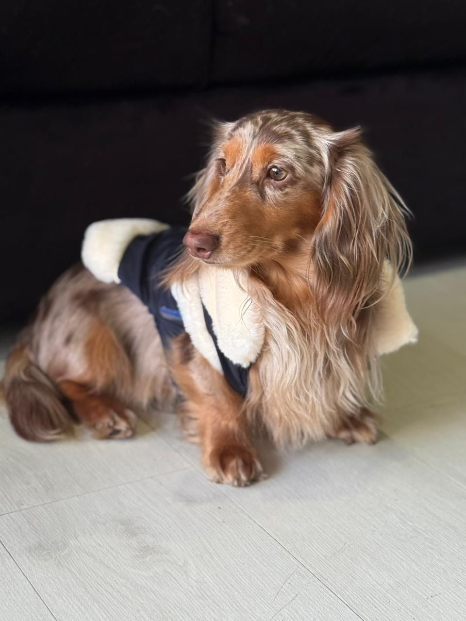 Veterinarios atendiendo a cachorros sobre una colchoneta acolchada en una luminosa sala de consulta.