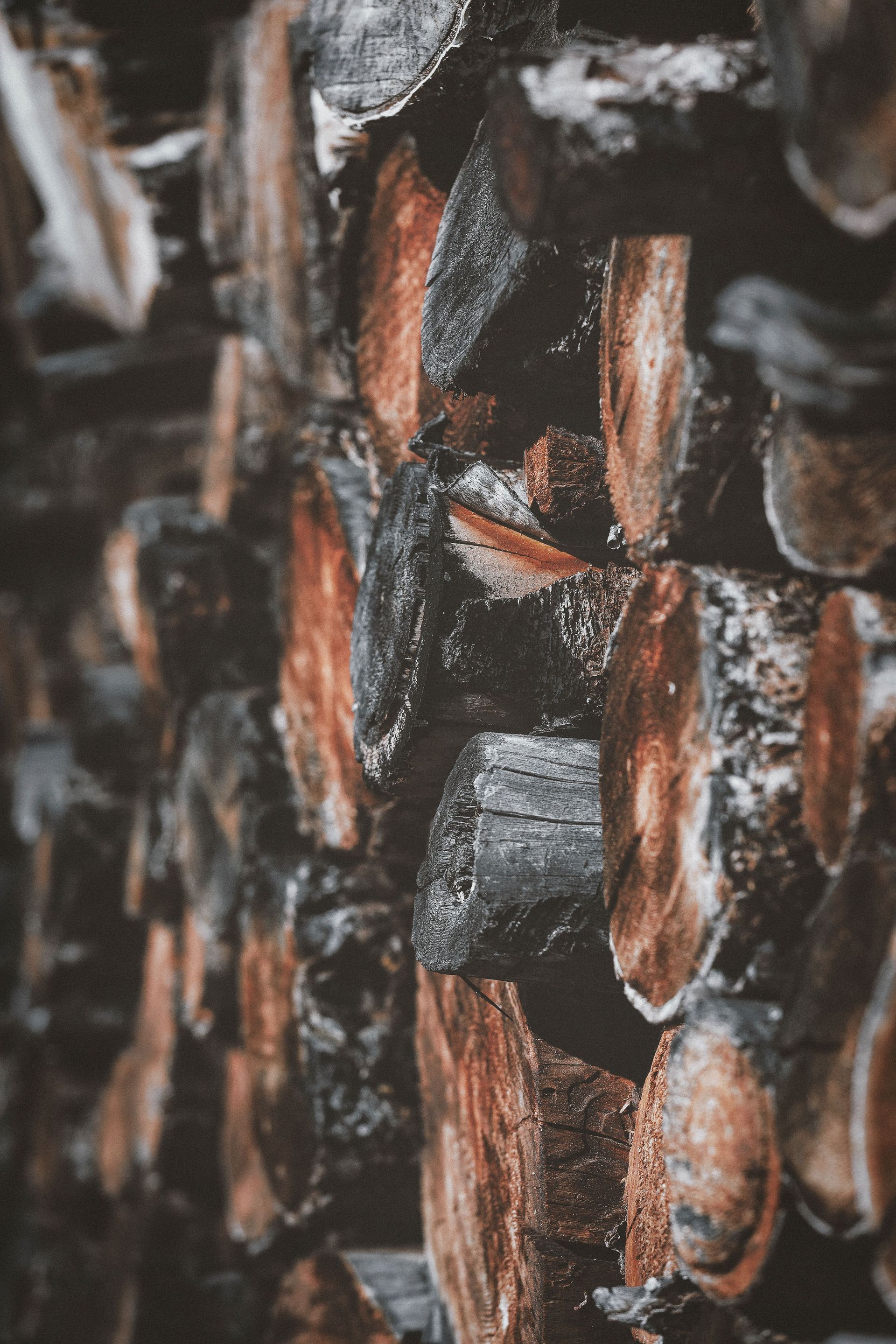 Close-up of stacked wood logs with dark bark and orange-brown cut ends