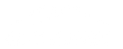 Empty image.