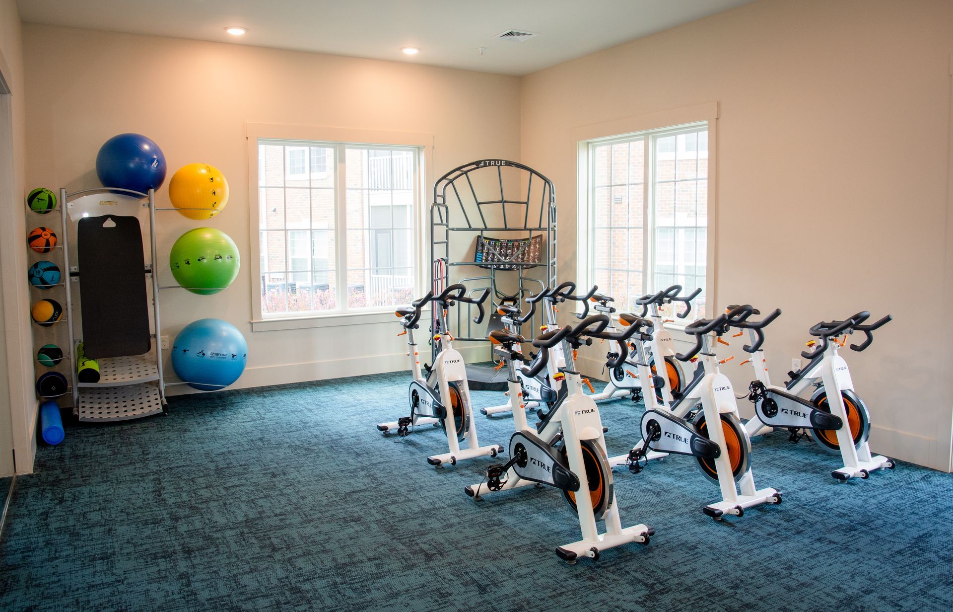A fitness room with several stationary bikes on blue carpet, workout balls, and a rack for weights.