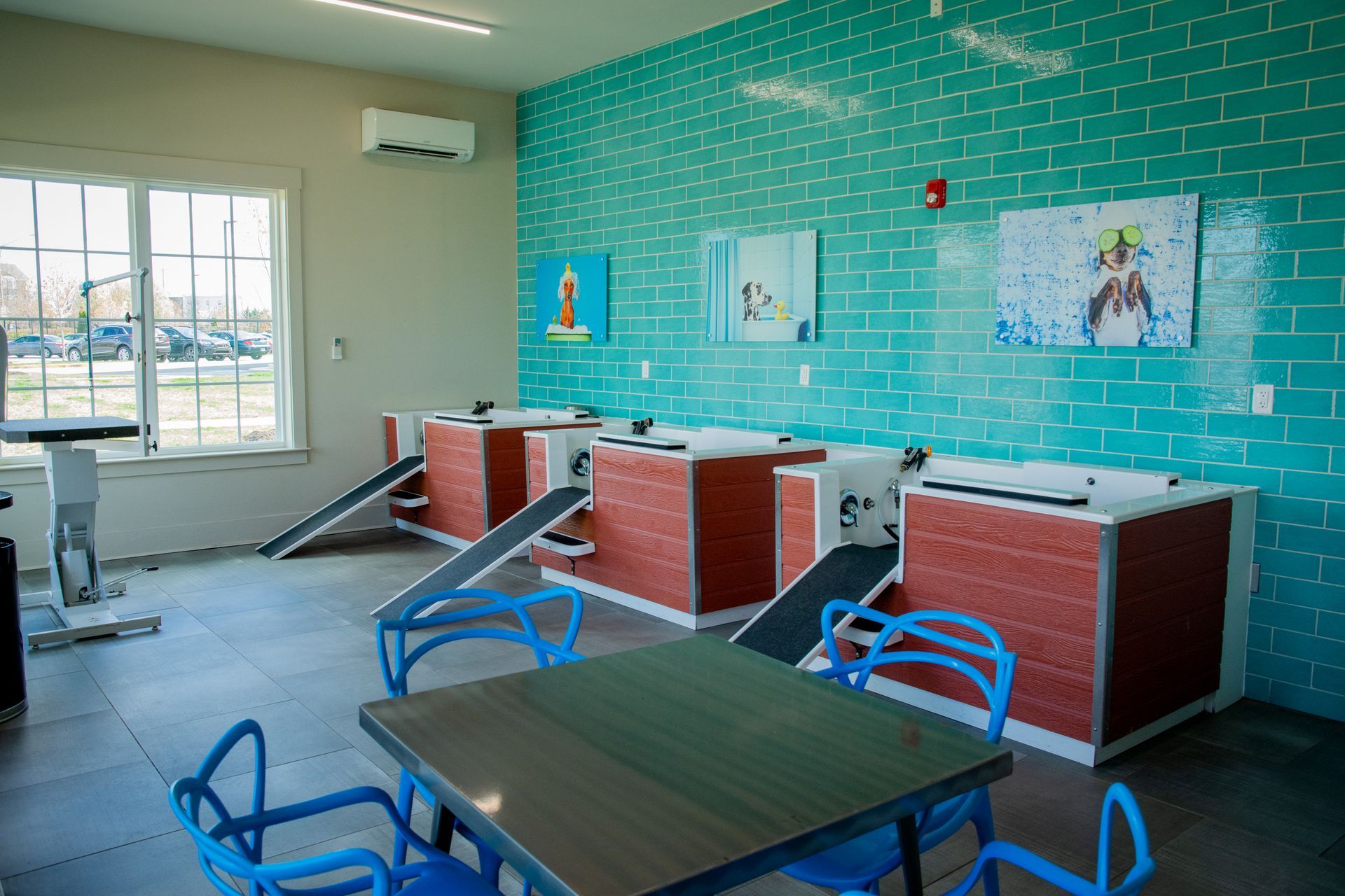 An interior view of a dog grooming room featuring grooming stations with ramps, and blue chairs.