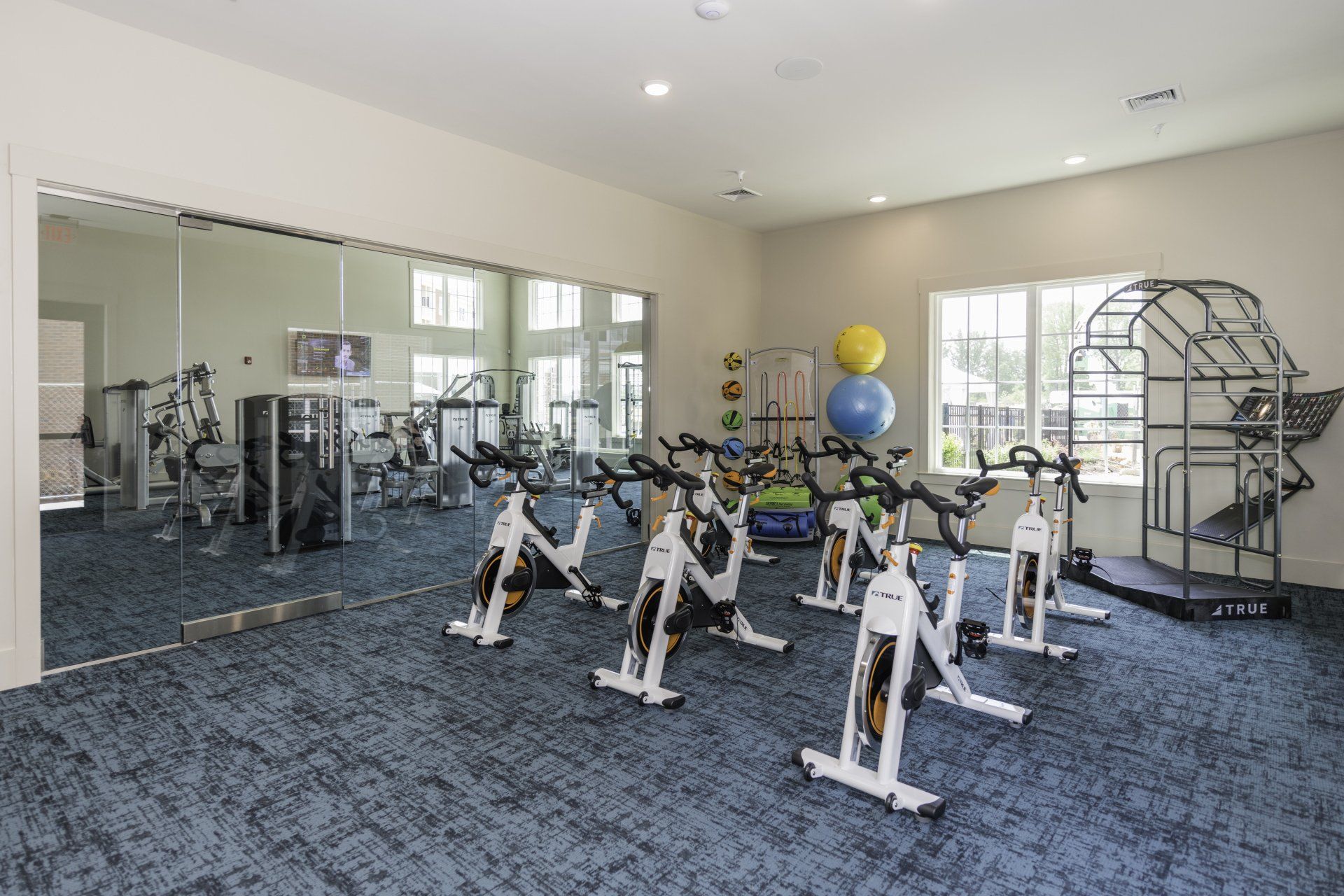 A gym room with multiple stationary bicycles, a large wall mirror, blue carpet, and fitness equipment at Silver Collection at Carl D. Silver Parkway in Fredericksburg, VA..