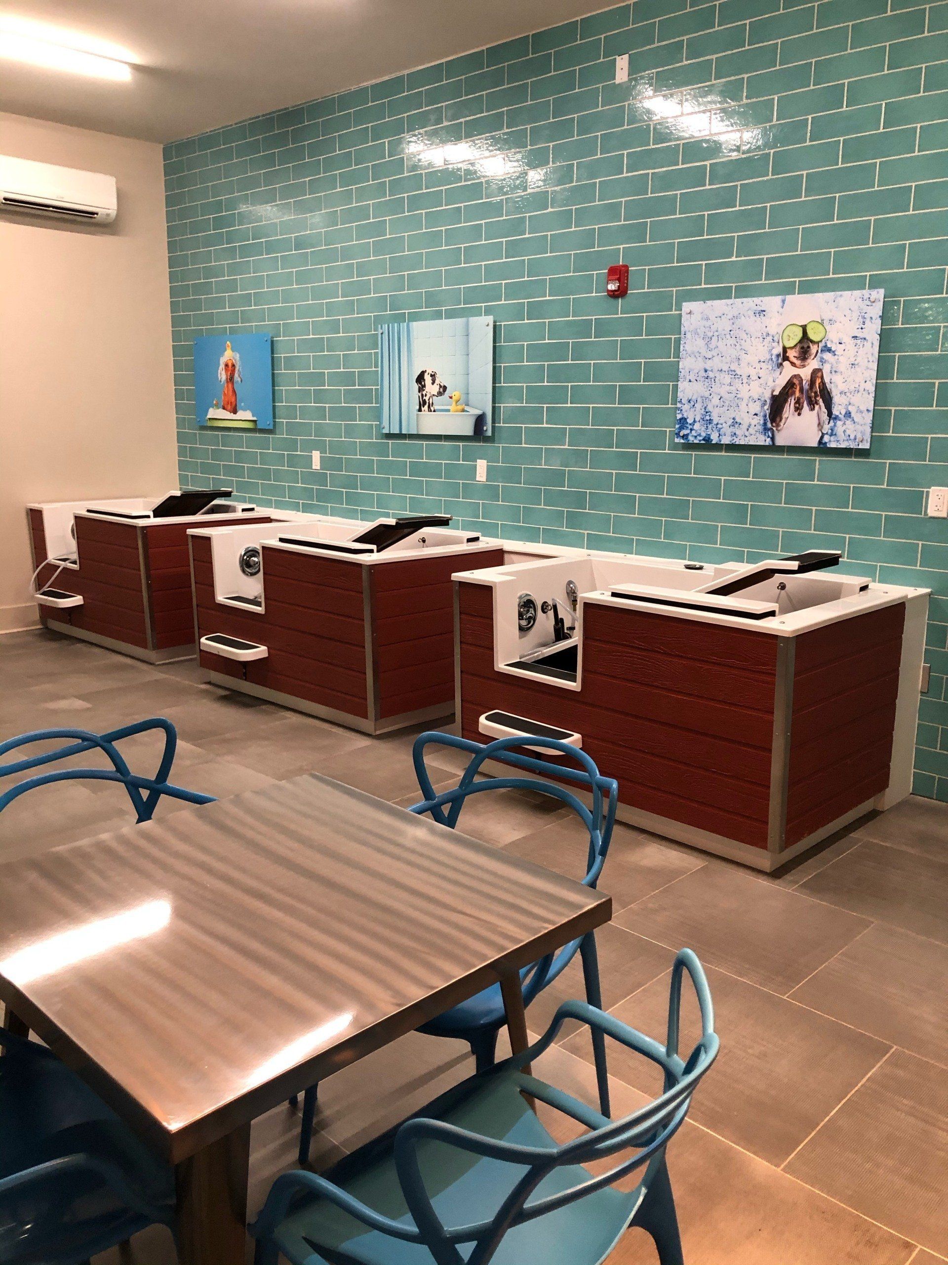 Three dog washing stations with red brick panels against a teal brick wall, with a table and chairs in the foreground at Silver Collection at Carl D. Silver Parkway in Fredericksburg, VA.