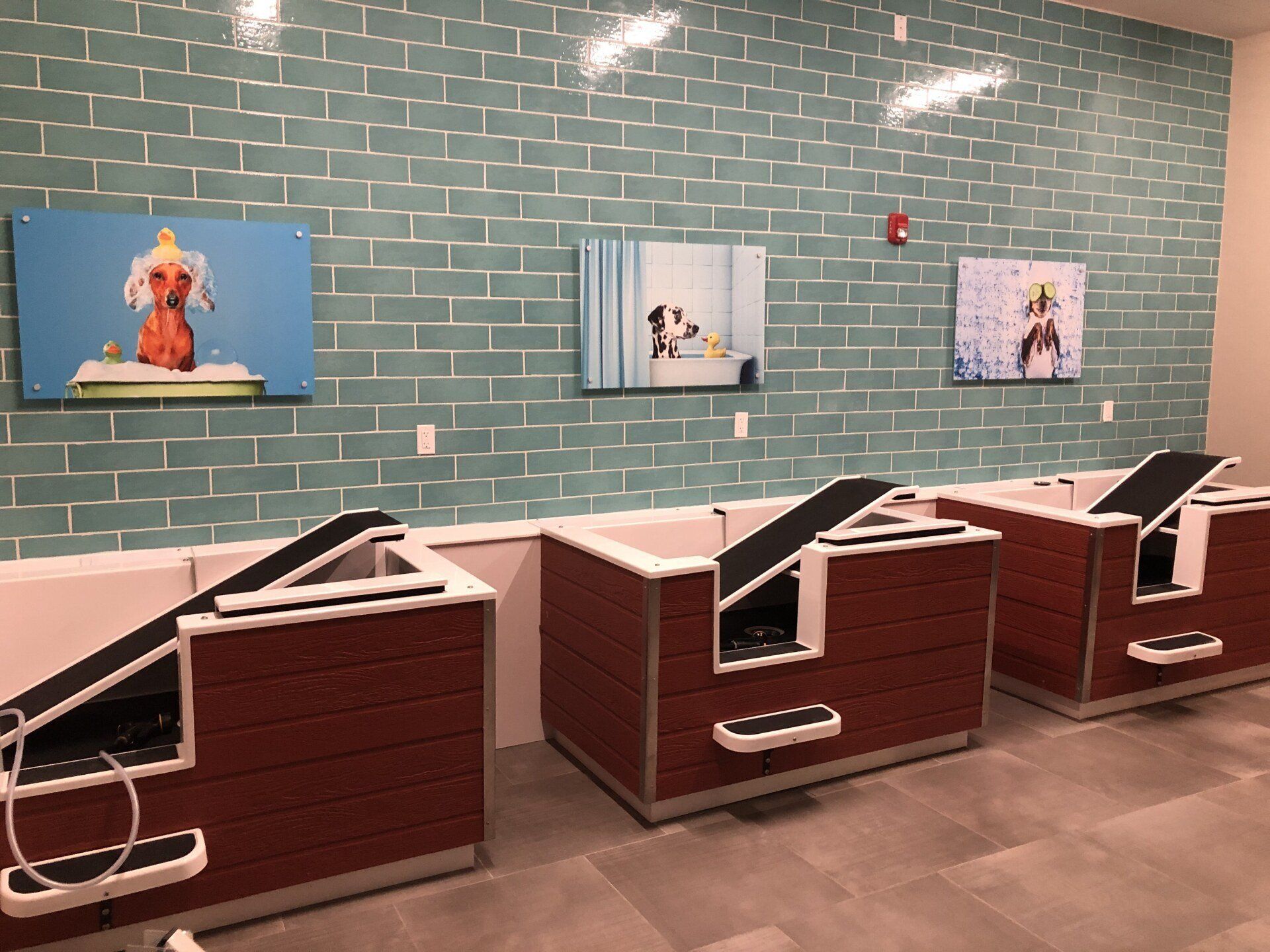 Three elevated red dog washing stations with ramps, set against a teal brick wall with framed pet photos above at Silver Collection at Carl D. Silver Parkway in Fredericksburg, VA..