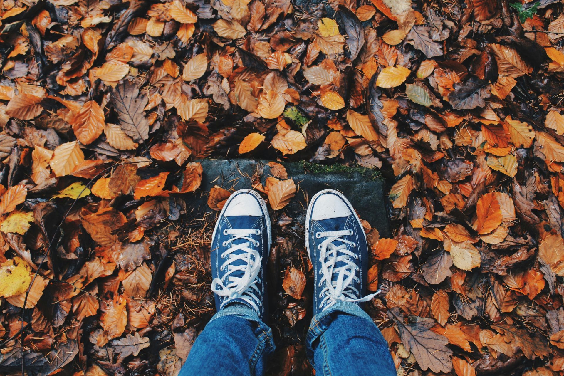Blue sneakers on a leaf-covered path, surrounded by fall foliage; denim pants.