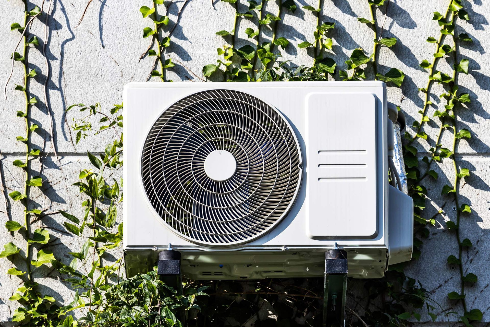 Outdoor HVAC unit mounted on wall with green ivy background.