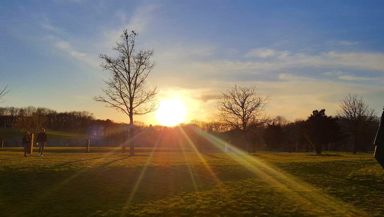 Sonnenuntergang Aussicht Wien Sonnenuntergang