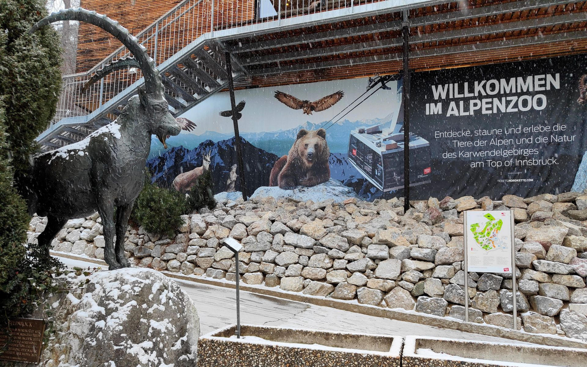 Alpenzoo Innsbruck A sculpture of a mountain goat in front of a stone wall and a banner that reads
