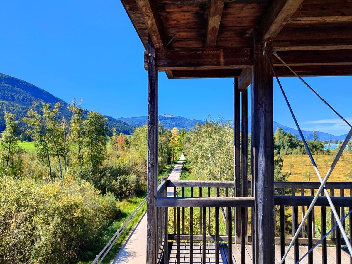 Aussichtsturm View from a wooden observation tower. Path through trees leads to mountains under a blue sky.