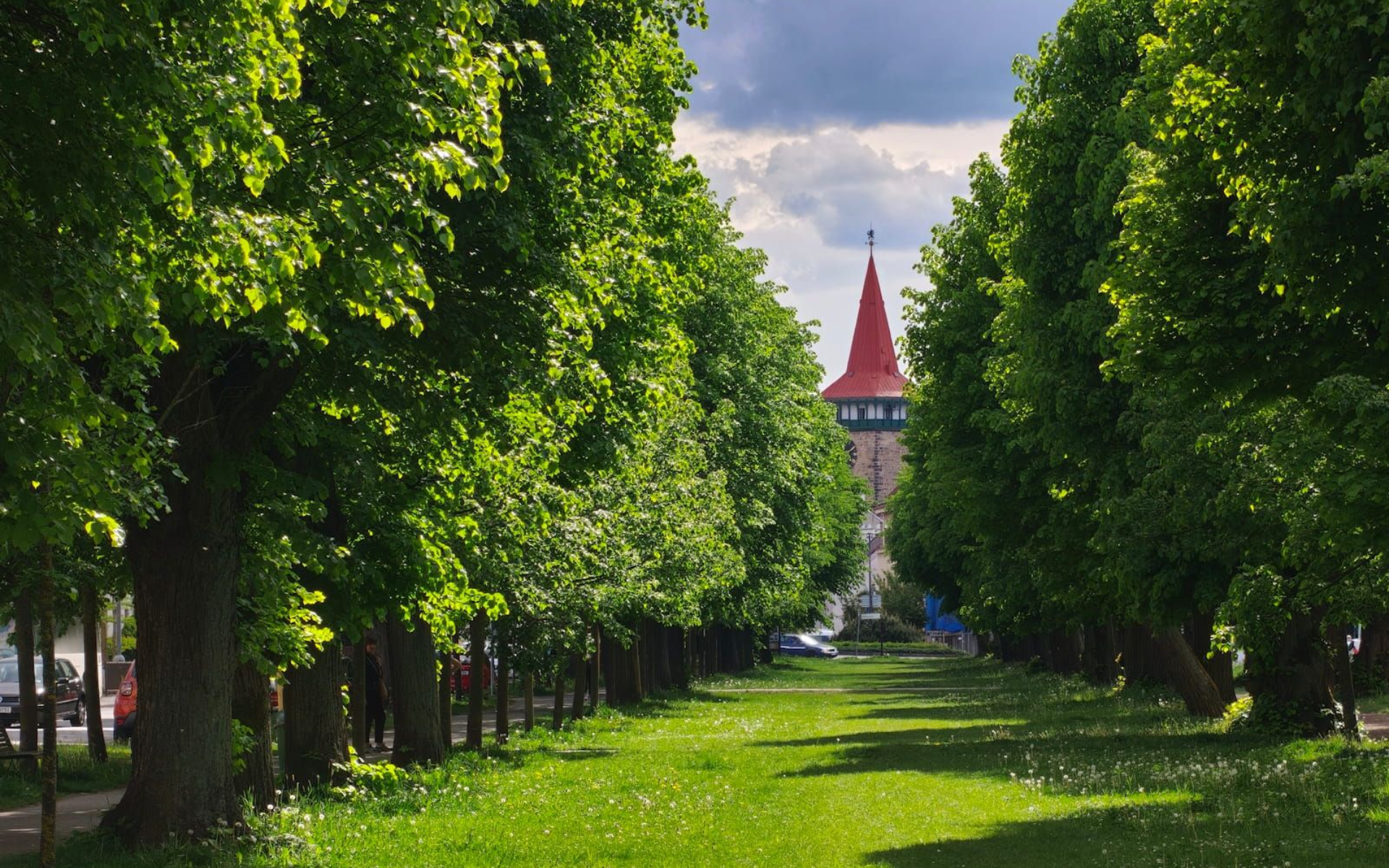 Jicín Stadtturm Tree-lined park path leading to a distant red-roofed tower under a cloudy sky