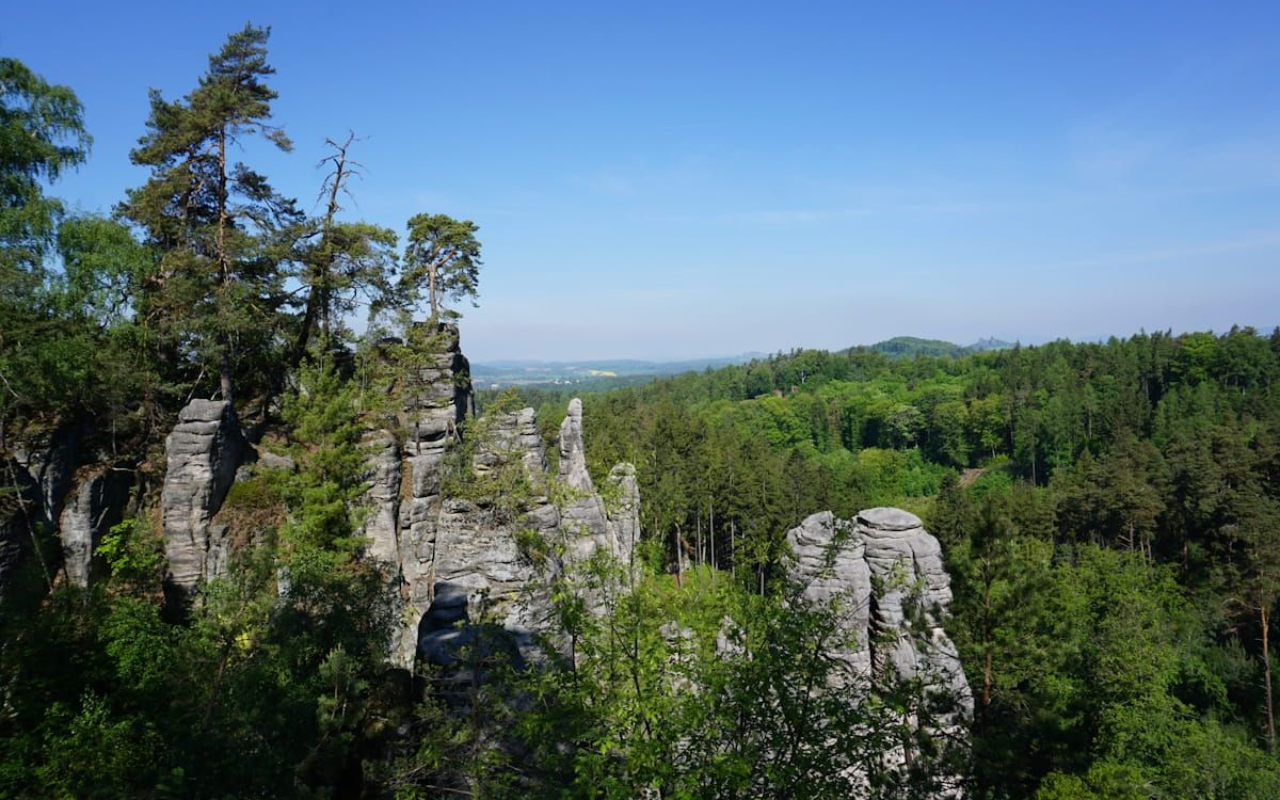 Prachauer Felsen Ausblick Rocky limestone cliffs above a dense green forest under a clear blue sky