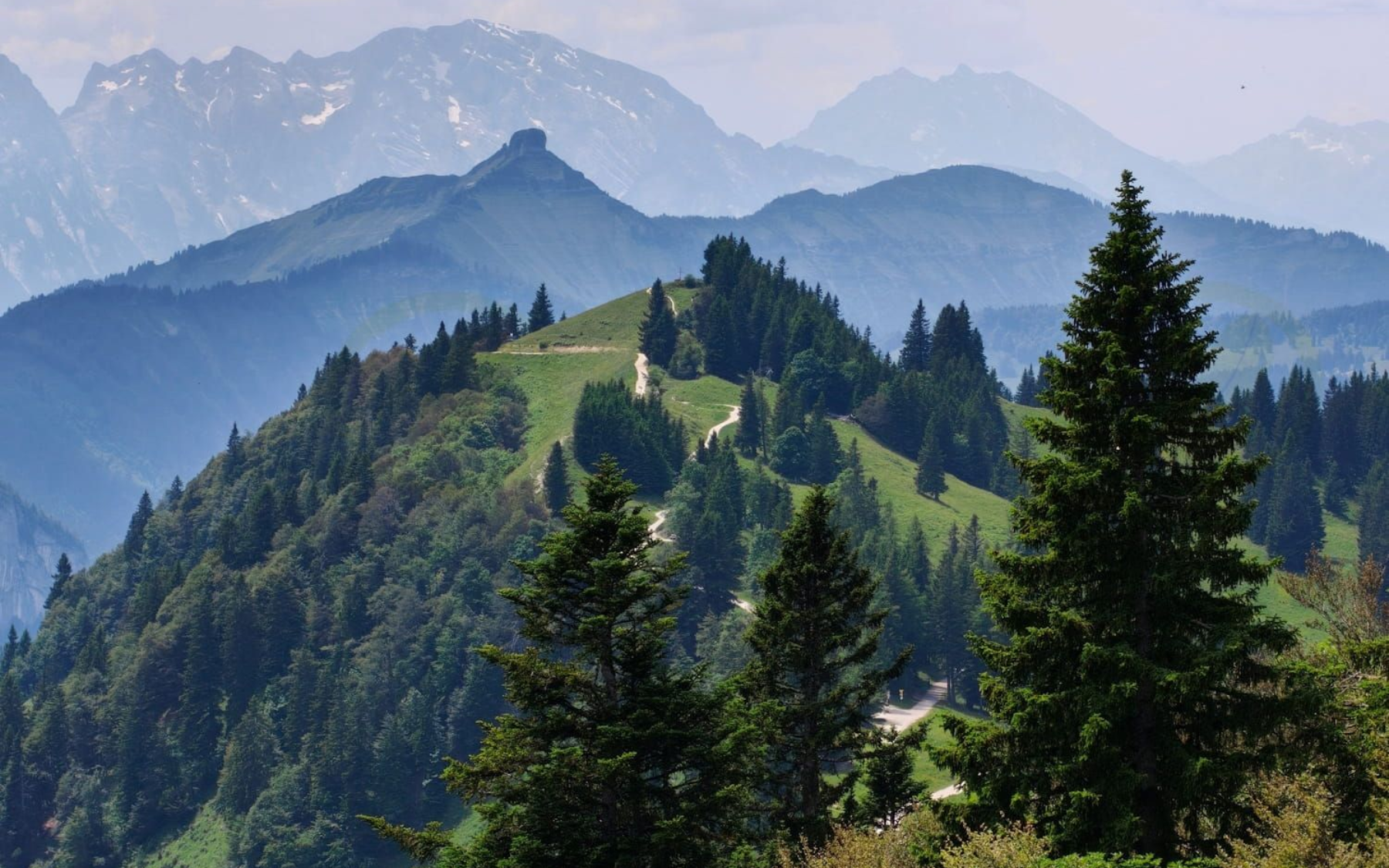 Zwölferhorn Mountain ridge lined with evergreen trees under hazy blue peaks and a pale sky