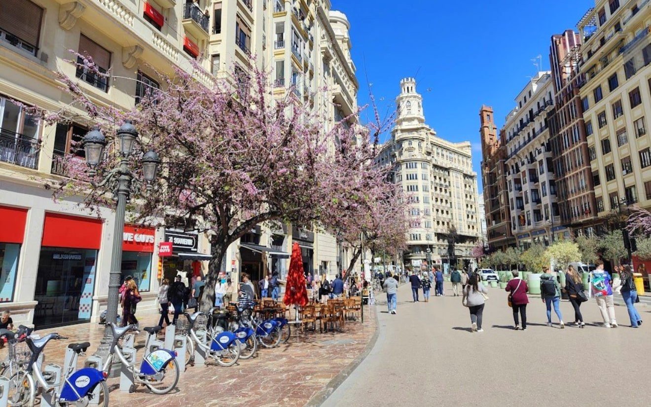 La plaza del Ayuntamiento Street scene in Valencia, Spain, with flowering trees, pedestrians, shops, and ornate buildings under a clear blue sky.