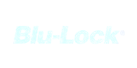 Blu-Lock logo in light blue.