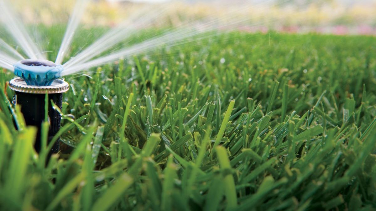 A sprinkler is spraying water on a lush green lawn.