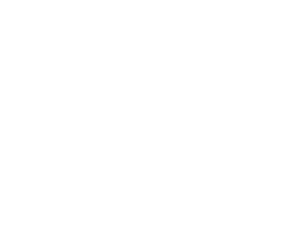 Partnership & Collaboration