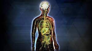 A computer generated image of a human body with a brain visible.