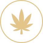 Gold cannabis leaf inside a thin gold circle on a white background