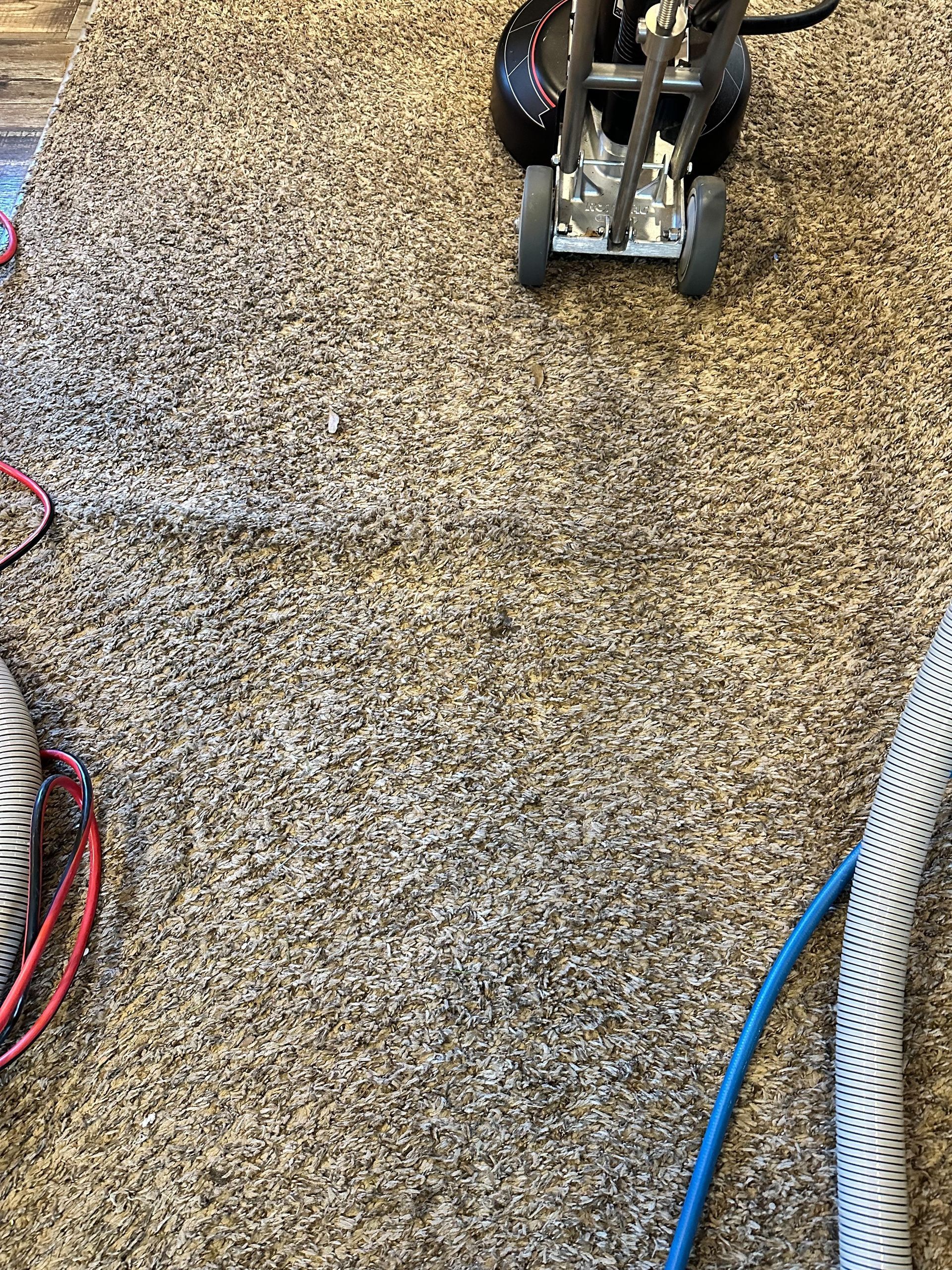 A vacuum cleaner is being used to clean a carpet.