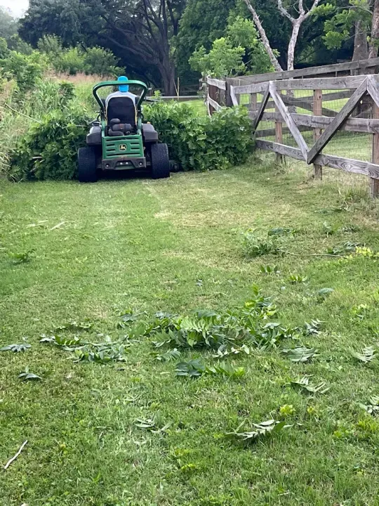 A person rides a green John Deere zero-turn mower, cutting through tall green brush along a wooden fence in a field.