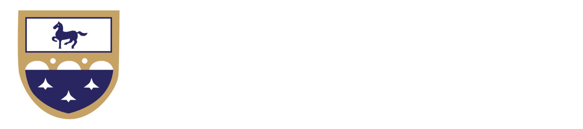 Nabity Business Advisors Logo