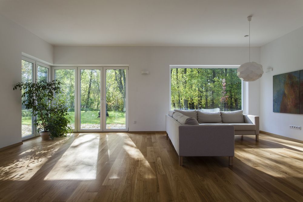 Open Living Room With Couch and Plant — Darryl Tickle Building Pty Ltd In Alice River, QLD