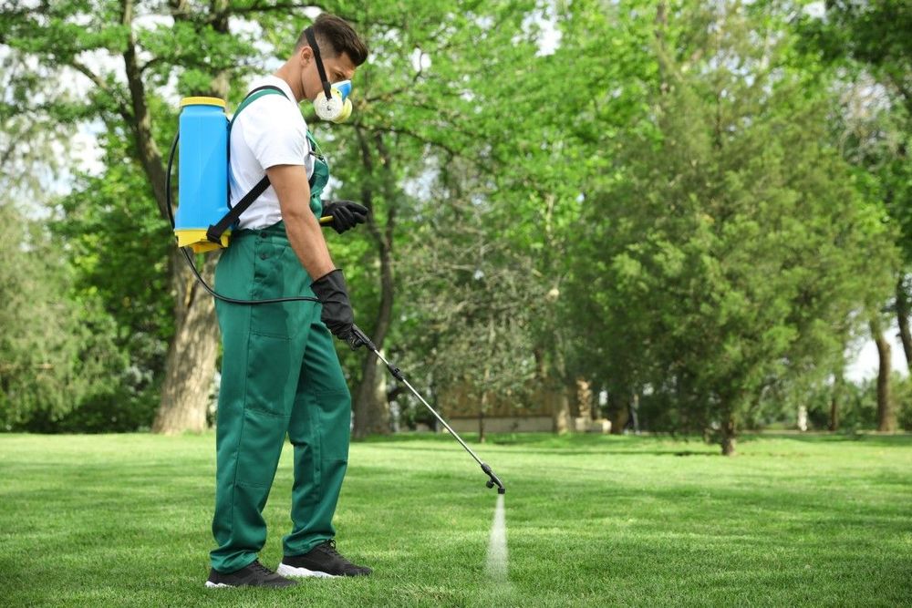 An image of Lawn Maintenance in Town N Country FL
