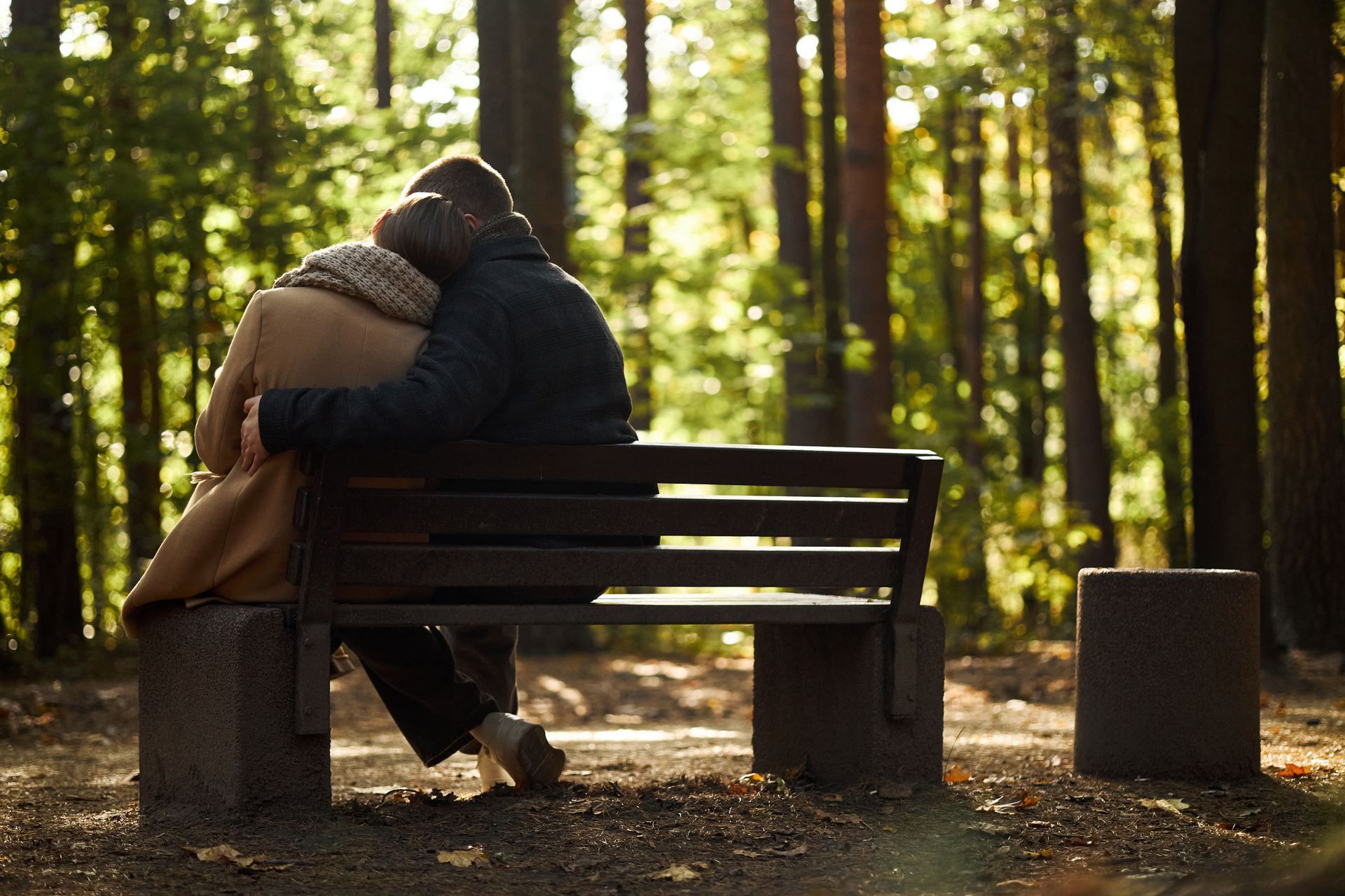 Two people embracing on a park bench in a sunlit wooded area