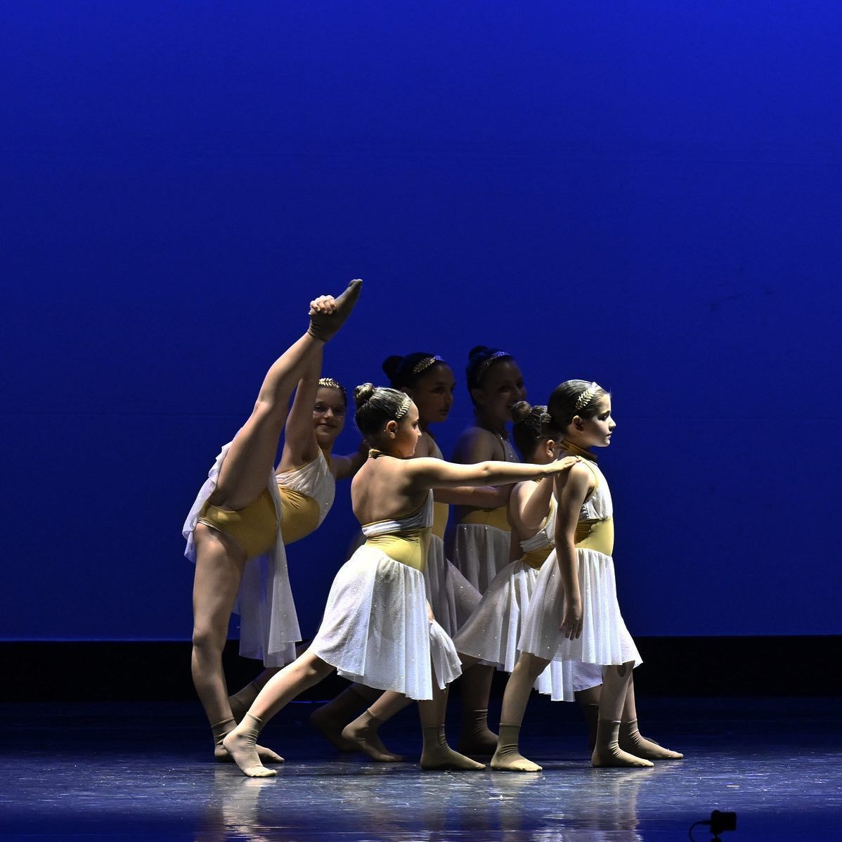 danza 7