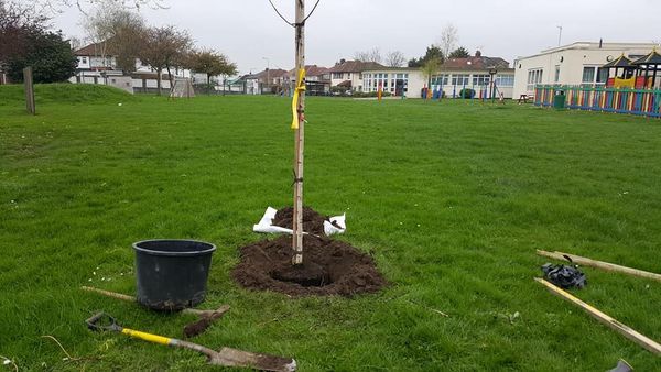 School grounds garden maintenance  landscaping services playground building pergola supplied and fit