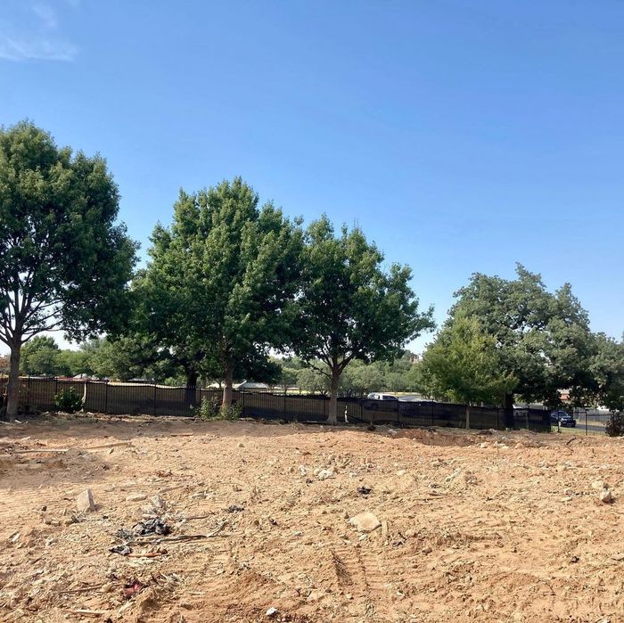 Dry, rocky field with several green trees under a clear blue sky