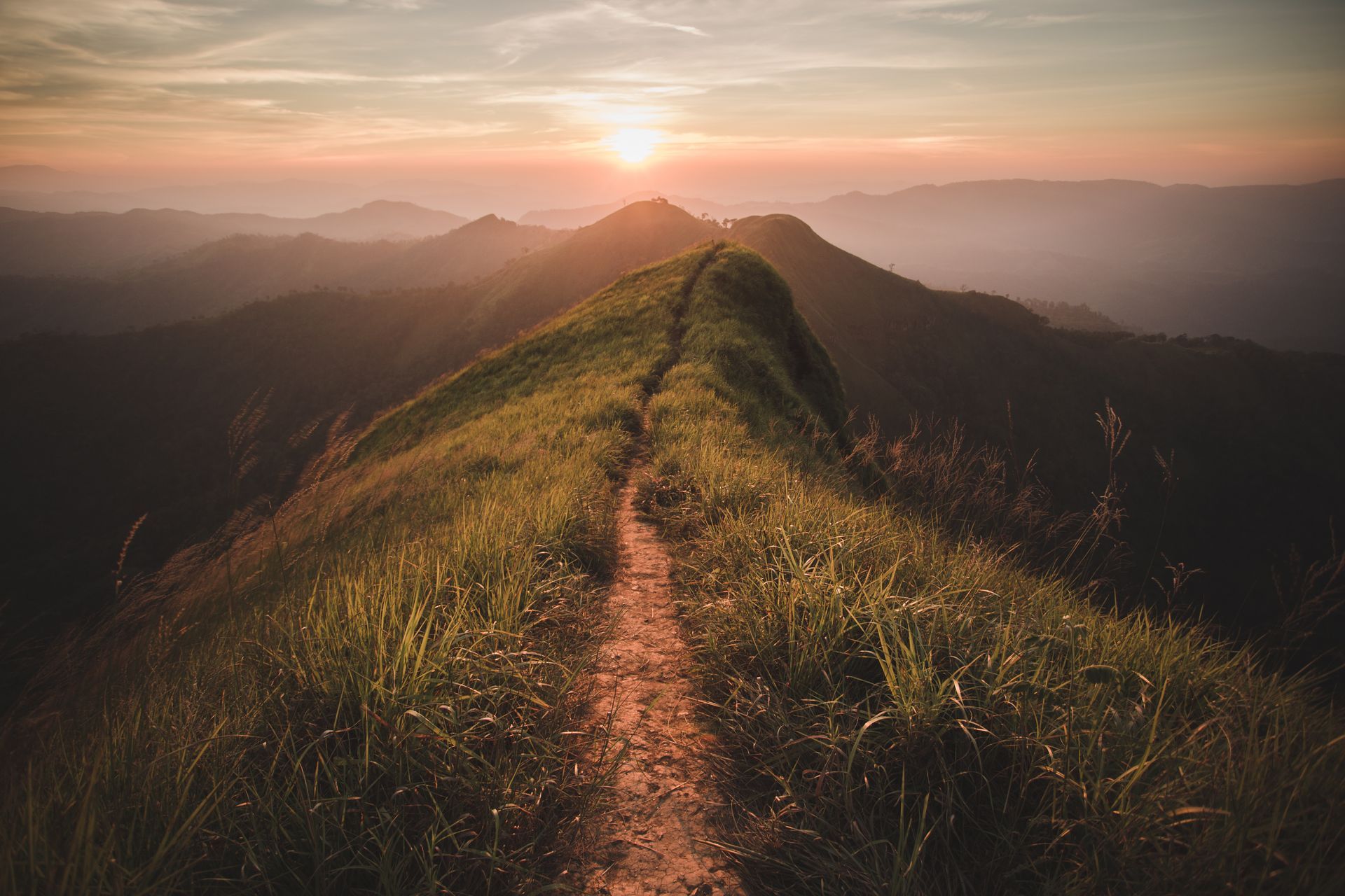 pathway through a meadow atop mountains
