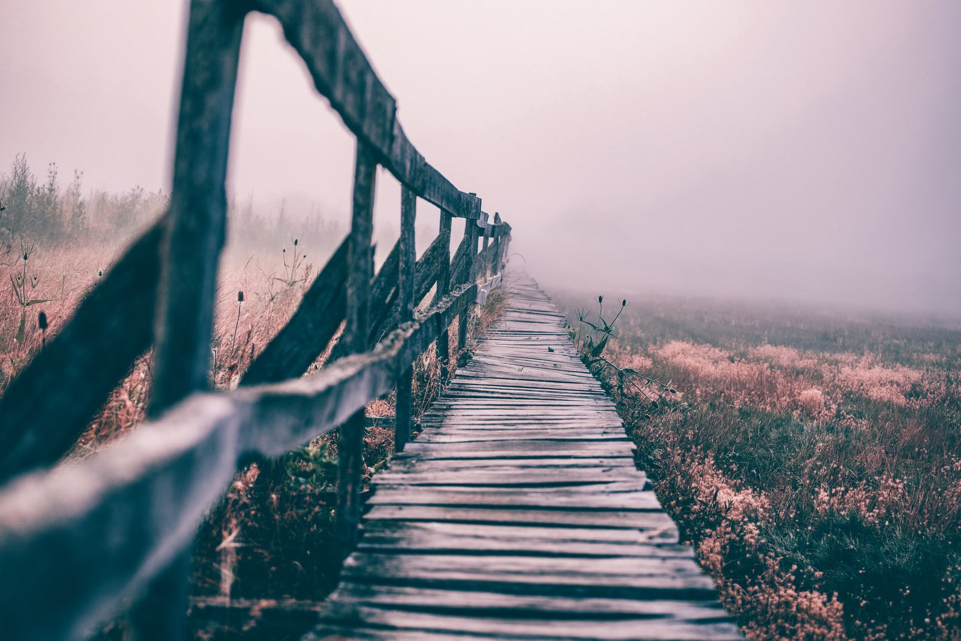Old wooden path with broken down fence along meadow