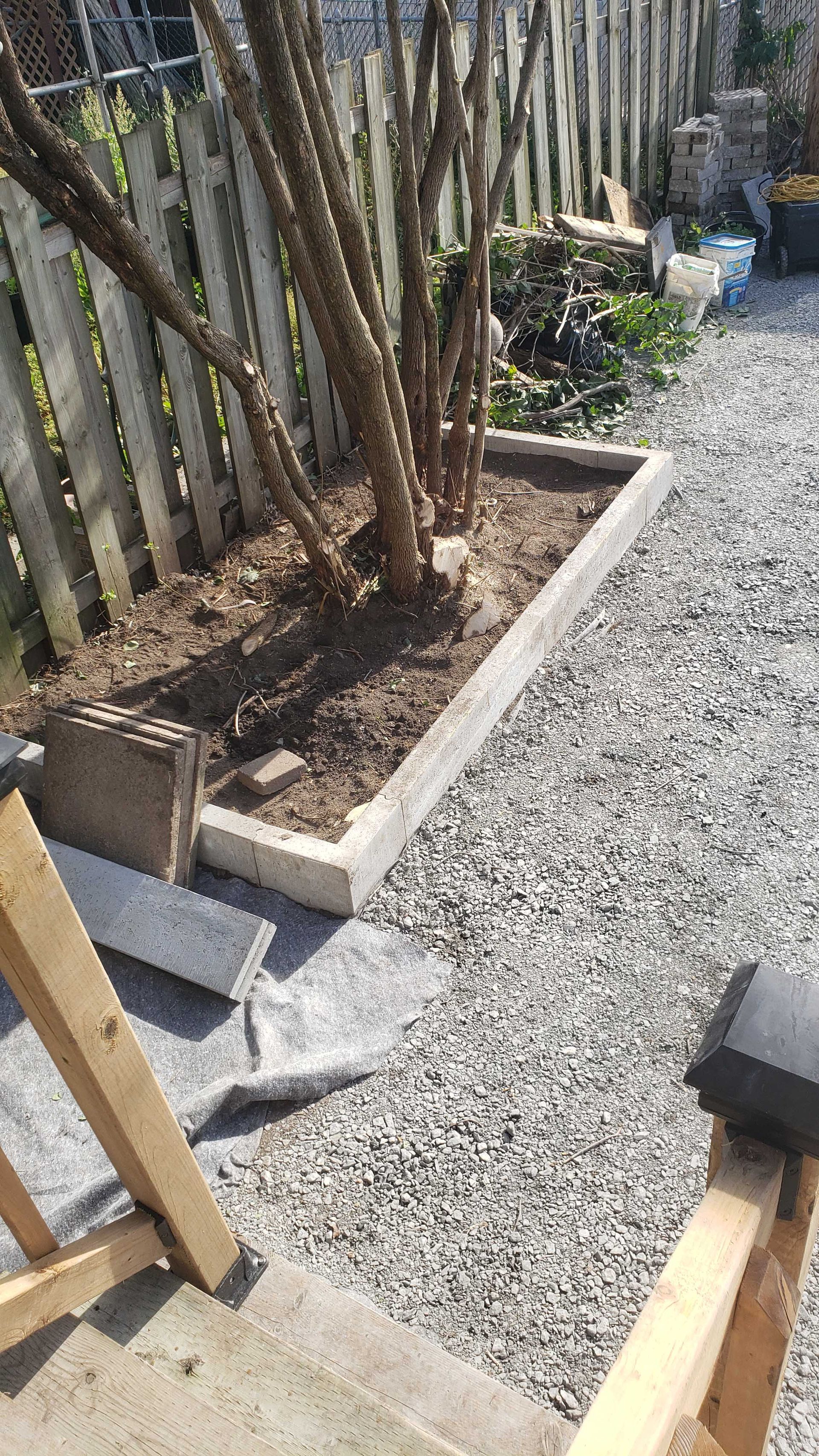 Allée de gravier dans un jardin longeant une jardinière surélevée en bois avec des arbustes dénudés et une clôture.