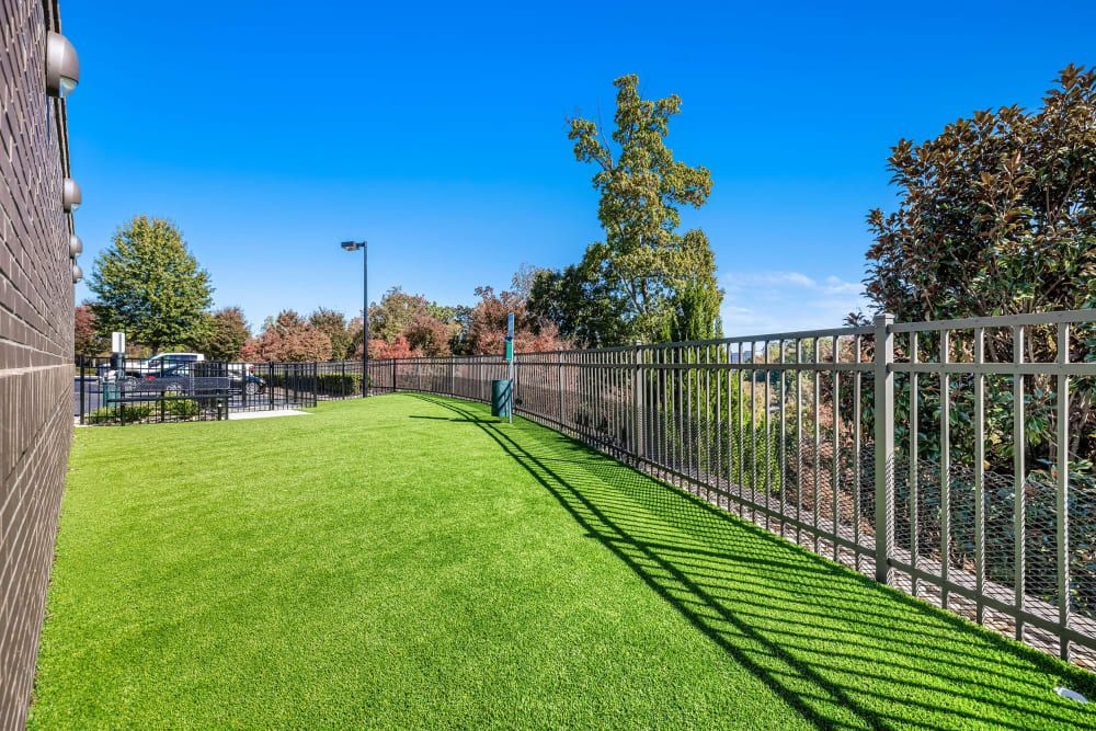 Artificial dog park with green turf in a fenced outdoor area with a metal fence on two sides, shadows of the fence pattern on the ground, a brick building on the left, and trees and a lamp post in the background under a clear blue sky at Marq at Crabtree in Raleigh, NC.