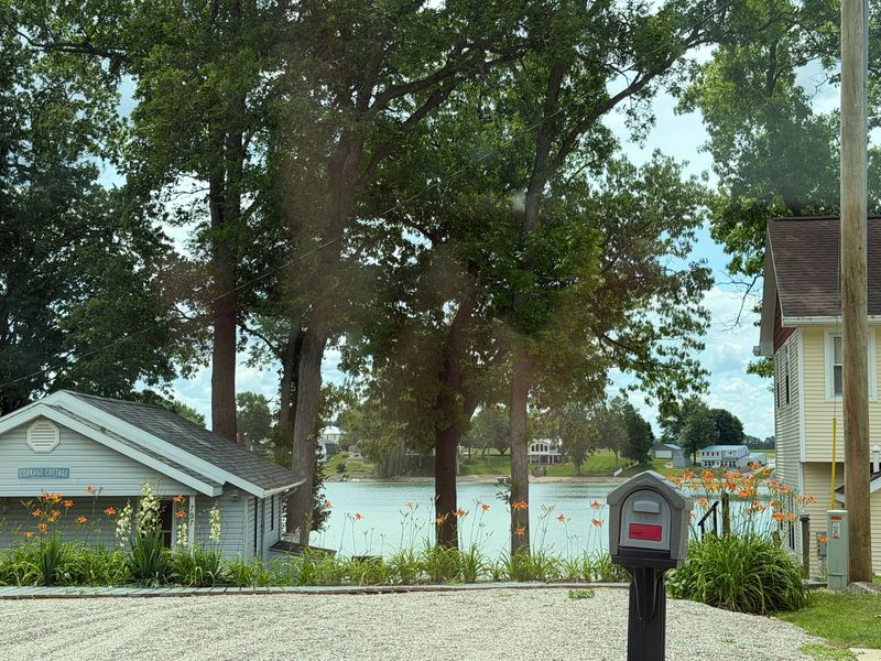 Lakeside street with trees, a mailbox, and small houses by the water