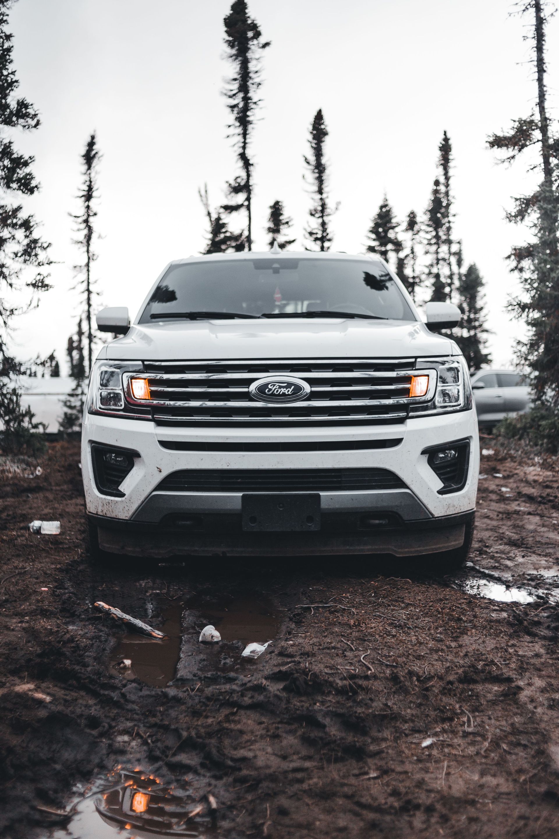 Diesel Repairs in Victoria, BC | Anderson Precision Auto Pro