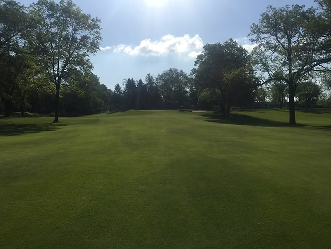Green golf course under a bright sunny sky with trees lining the fairways.