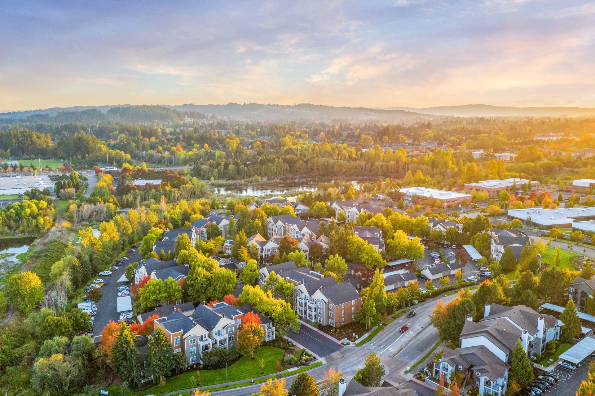 Drone view of neighborhood.