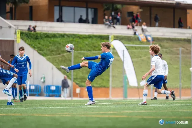 Soccer player in blue kicking the ball on a green field. Other players and spectators are in the background.