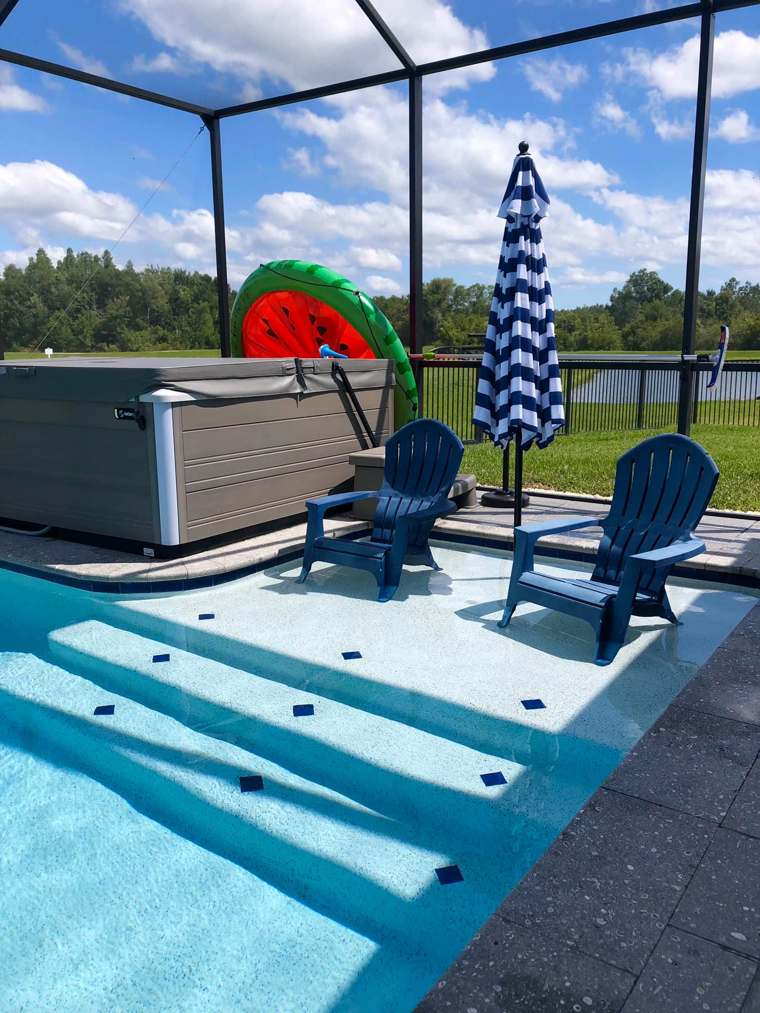 Pool Cleaning | Wesley Chapel, FL | Calta's Clear Pools