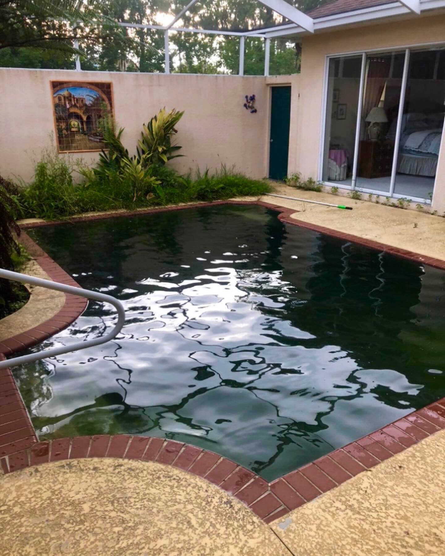 Dirty Pool | Wesley Chapel, FL | Calta's Clear Pools