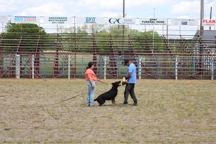 A man and a woman are playing with a dog in a field.