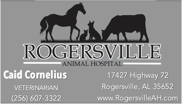 Rogersville Animal Hospital sign with horse, dog, and cat silhouettes; contact info and highway address.