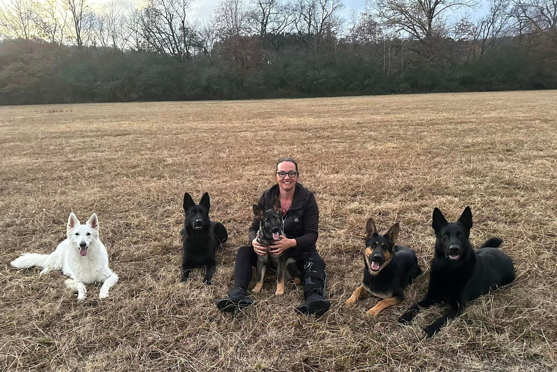 A woman is sitting in a field with four dogs.