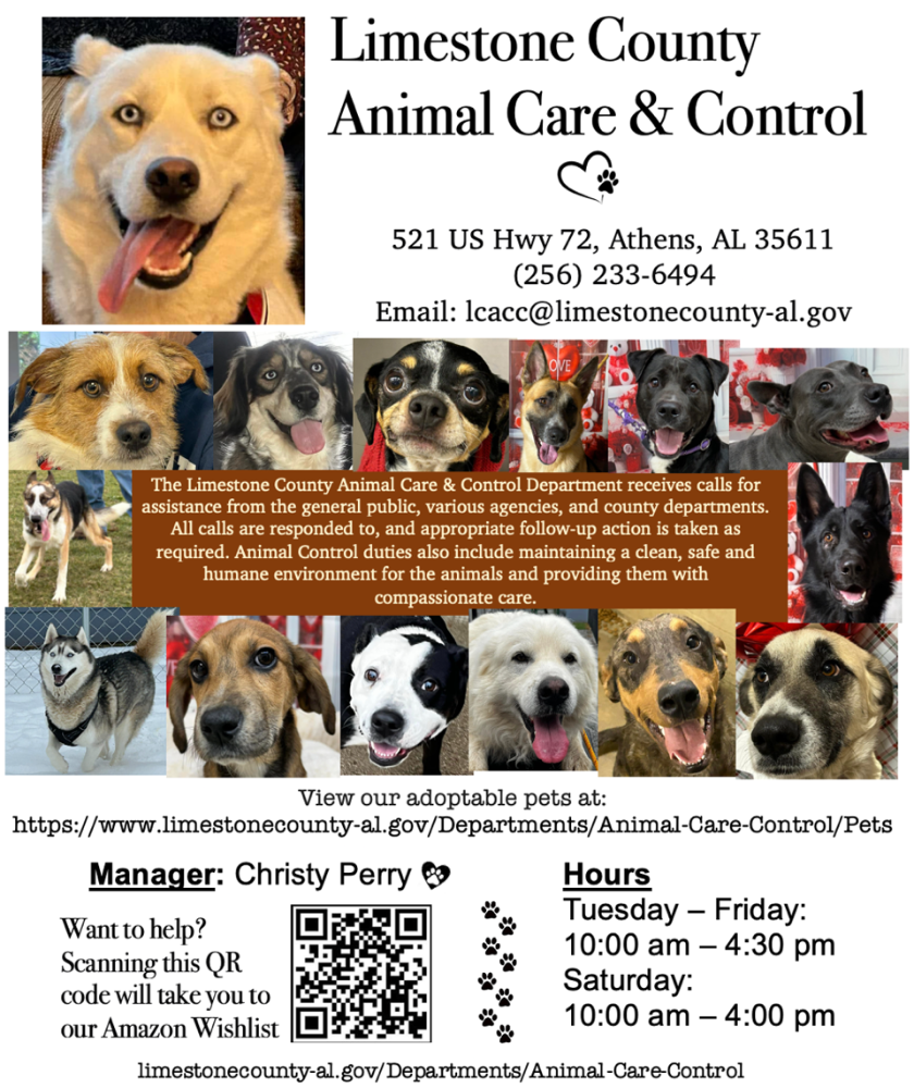 Limestone County Animal Care & Control flyer with adoptable dogs, cats, contact info, and hours.