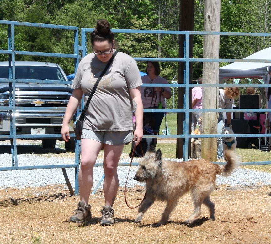 A woman is walking a dog on a leash