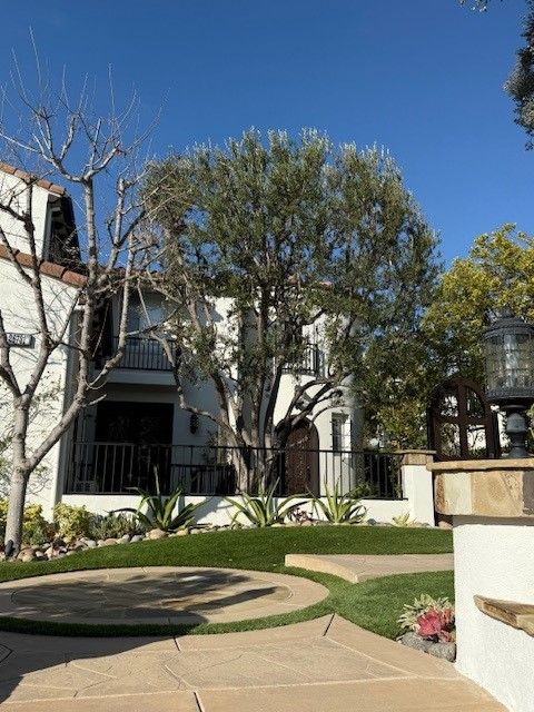 Residential building with tree in front, sunny day. White walls, black railing, green lawn.